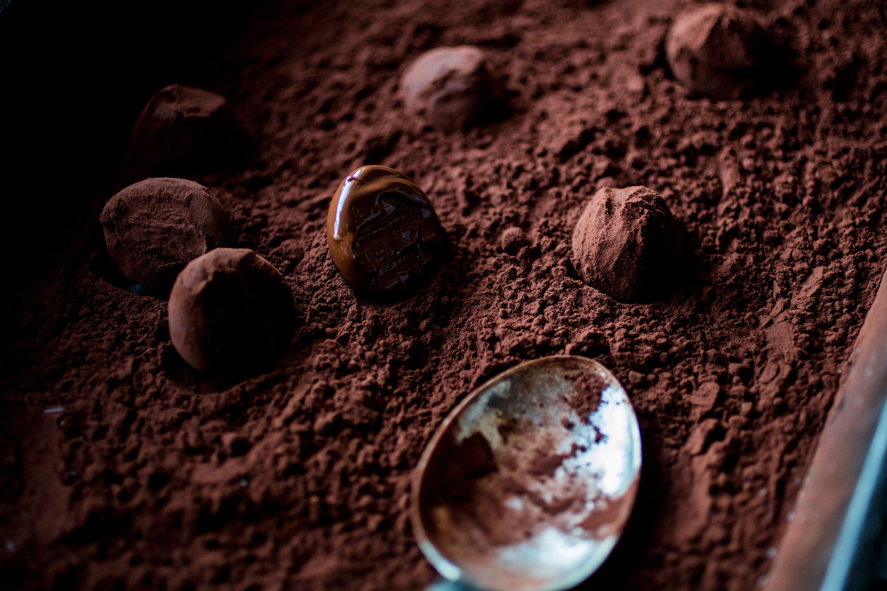 Rull trøflene i siktet kakao, melis eller hva du måtte ønske. Rist av det overflødige og oppbevar konfekten kjølig i en tett boks.